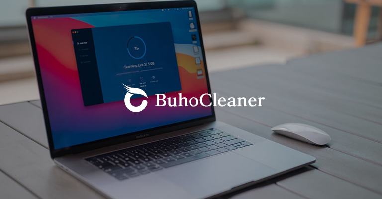 BuhoCleanerとは？